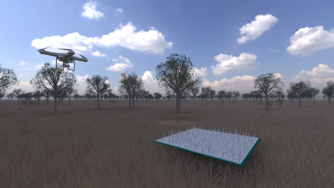 The THEMIS target in the “Savanna pre-fire” scene